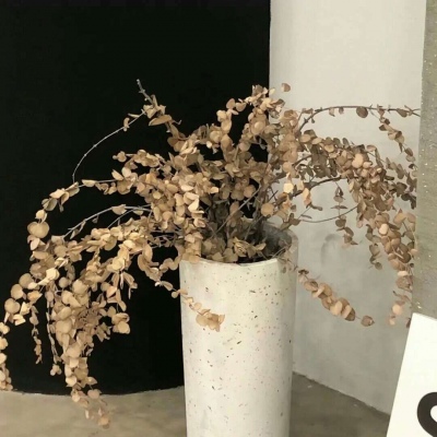 兽设比例设计入门福瑞群